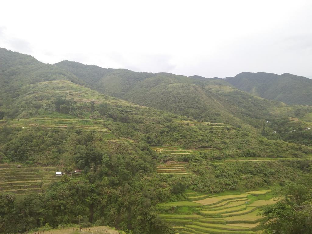 Banaue Sunrise Guest House Dış mekan fotoğraf
